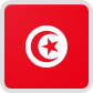 チュニジア国旗　大