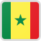 セネガル国旗　大