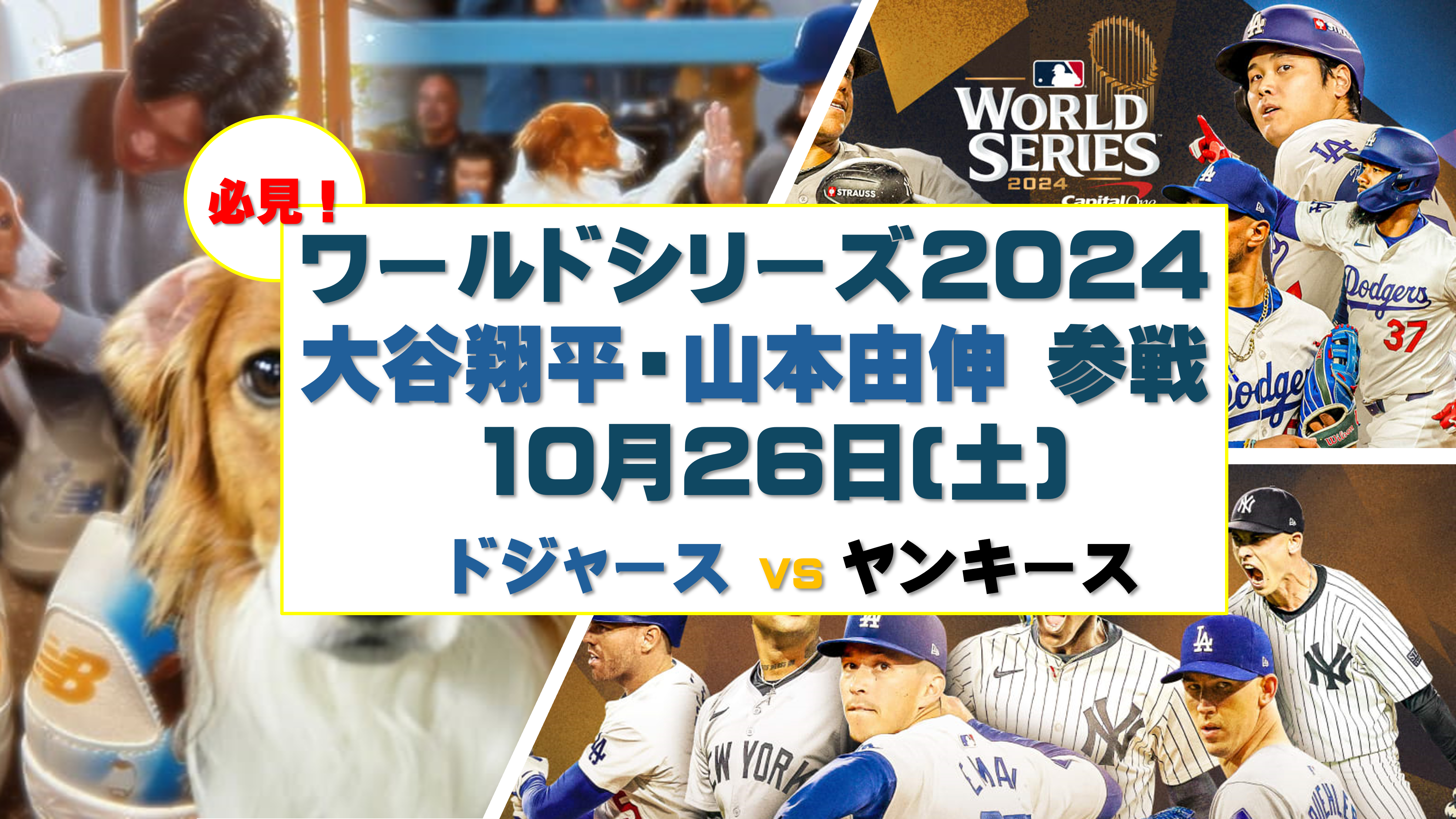 2024MLB-POST SEASON 大谷翔平・山本由伸選手いよいよ、夢舞台に登場！